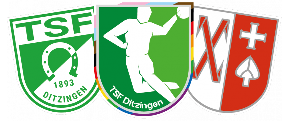 TSF Ditzingen Abteilung Handball